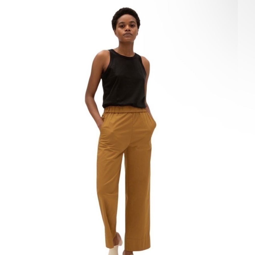 Everlane The Easy Straight Leg Chino Pant Amber size 2